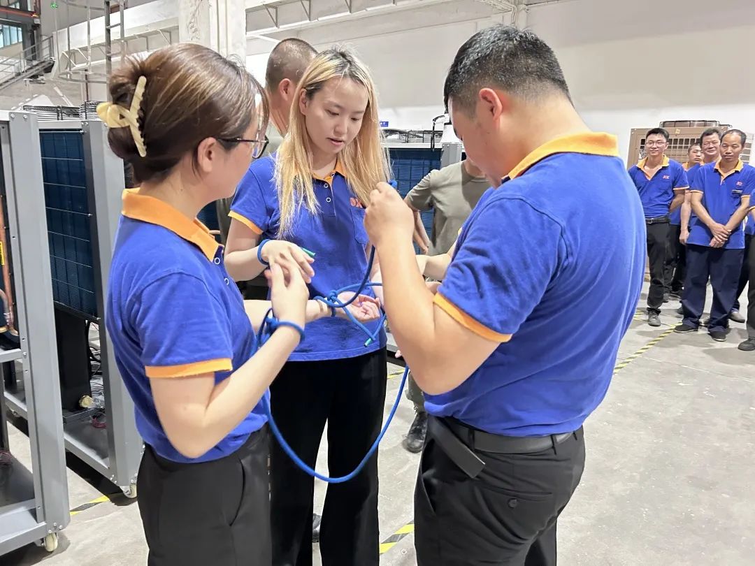 1686357273985775.jpg 4.jpg