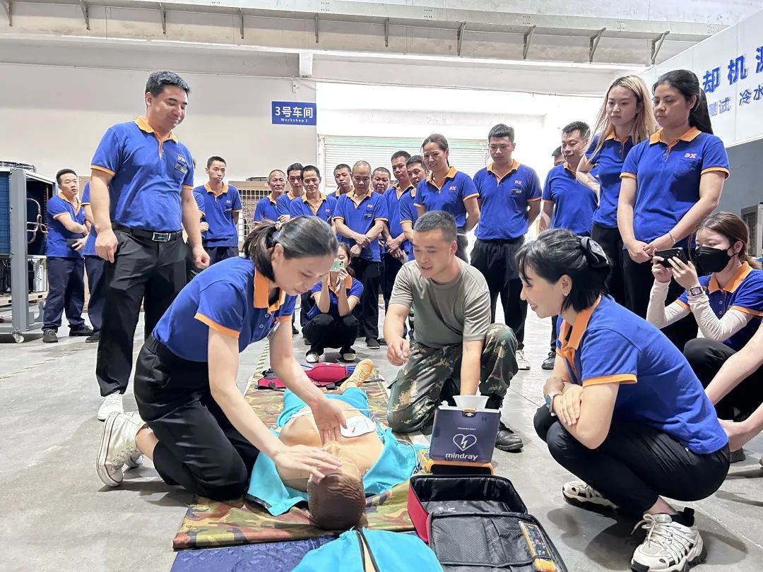 1686357301644176.jpg 8.jpg