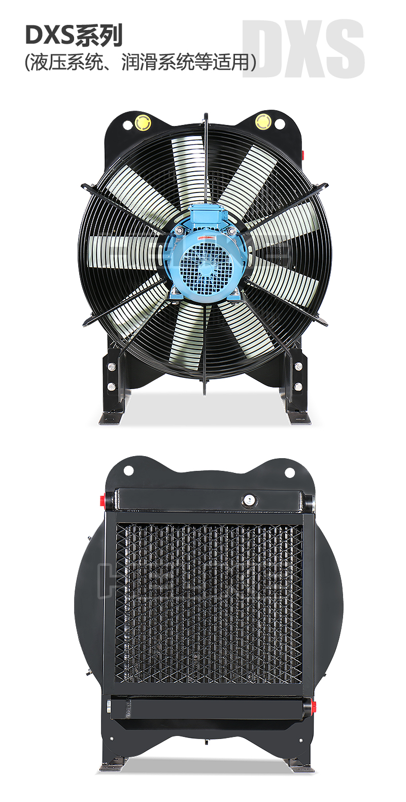 1710924138265003.jpg 海報.jpg